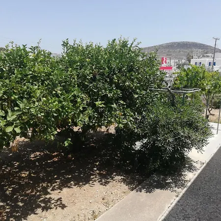 Apartment Matina Naousa (Paros)